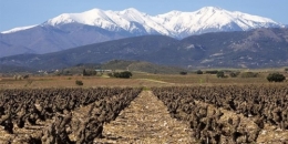 Gite rural Pyrénées Orientales, Roussillon