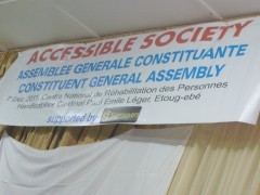 elections,inclusive, society,people with disability
