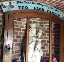 Image16.jpg