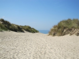 Le sable et les dunes - IMG_4996 - compressé.JPG