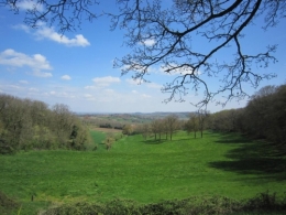 Image20.jpg