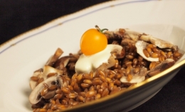 farro aux champignons rosés, farro, épeautre, champignons rosés, champignons