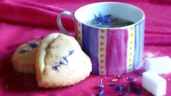 flower cake, Fanny Vasseur, tisanes, cueillette nomade, ambricourt
