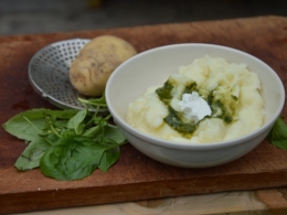 Basilic purée, basilic, pommes de terre, purée de pommes de terre