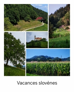 jota,la cocotte,la voix du nord