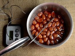 Pralines roses, la cocotte, la voix du nord