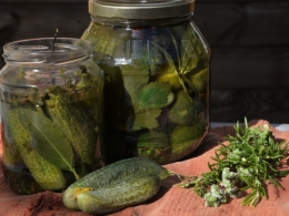 Cornichons aux herbes et feuilles du jardin