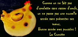 bonne année, voeux 2014, La Cocotte