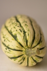 Courge Delicata farcie à la Farkhana, courge delicata, courge sweet potato, François Wiart, Rimboval, le chêne dans le courtil, Femina, la Voix du Nord, la Cocotte