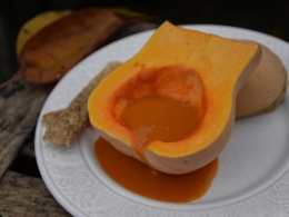Butternut au rouge, la cocotte, la voix du nord