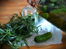 gros cornichons à l'estragon,la cocotte,la voix du nord
