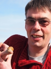 escargots, Emmanuel Brasseur, l'escargotière du Choquel, Saint-Martin Choquel, Femina, la Cocotte