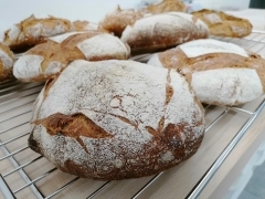 pain de seigle à la noisette,la cocotte,la voix du nord