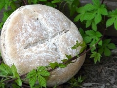 Moulin de la Roome Pain bis à la bière la Cocotte.jpg