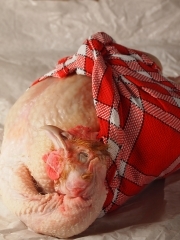 poularde rôtie, trio de carottes et sauce hongroise, Jacques Deroo, les chapons de Saulzoir, Saulzoir, poularde, Femina, la Cocotte