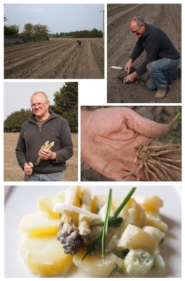 asperges, Philippe Lingrand, Leforest, salade printanière d'asperges