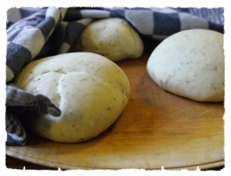Pizza Margherita, la Cocotte, la voix du nord