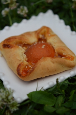 Abricots en poche, abricots, confiture d'abricots