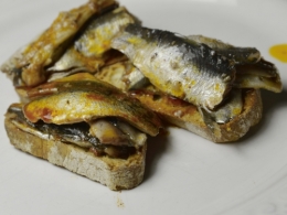 Sardines Lisboa, sardines, la Cocotte, la Voix du Nord