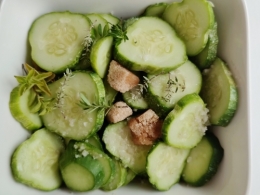 cornichons molossol,la cocotte,la voix du nord