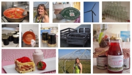 roulé-carré à la confiture fraises-rhubarbe,nathalie saingier,les confitures de verlinghem,femina,la voix du nord,la cocotte