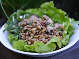 Lentilles en salade au bœuf, lentilles, pot-au-feu, boeuf, salade de lentilles