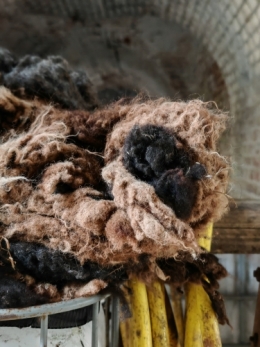 Soupe aux 3 haricots, la Cocotte, la Voix du Nord, Compagnie Tissépiq, parlons feutre et lin, espace Ernest Pignon Bois Blancs à Lille