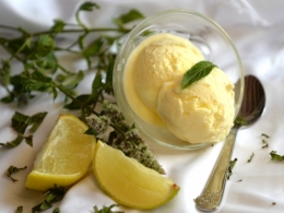 glace au citron vert,la cocotte,la voix du nord