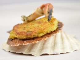 Crabe galettes aux épices, crabe, miettes de crabe, pinces de crabe