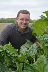 Rhubarbe confite sur canapé, rhubarbe, Antoine Willefert, la cahute fermière, Courcelles lez Lens, Femina, la Cocotte, la Voix du Nord