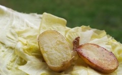 pommes et barbe en salade.jpg