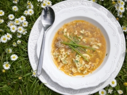 Bouillon au bœuf à mille-pâtes, la cocotte, la voix du nord