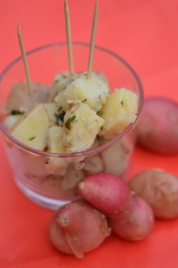 Cirielles rouges à la coriandre, pommes de terre Cirielle, coriandre, pommes de terre