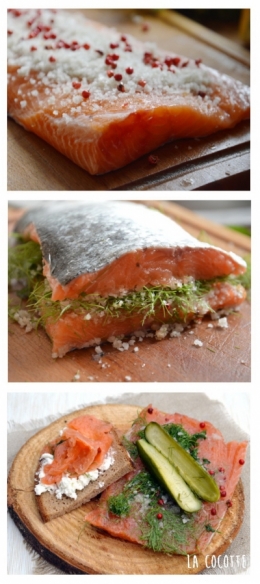 Gravlax coriandre et aneth, saumon, coriandre, aneth, baies roses