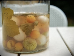 pickles à l’ail et aux p’tits oignons,la cocotte,la voix du nord