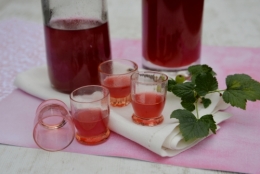 Alcool de groseilles, la cocotte, la voix du nord