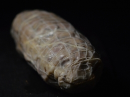 andouille de cambrai à la fondue de poireaux,la cocotte,la voix du nord