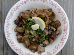 petiscos de champignons, la cocotte, la voix du nord