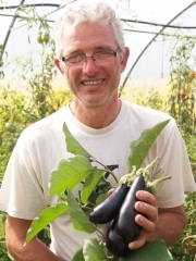 tomates-aubergines et supions à la provençale, Philippe Delfosse, le potager gourmande, Crespin, La Cocotte, Femina, La voix du Nord, aubergines, supions, calmars