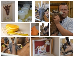 cheesecake tout chèvre à l'orange,faisselle de chèvre,fromage frais de chèvre,la chèvrerie de l'écaillon,jean-philippe bourgois,femina,la voix du nord,la cocotte
