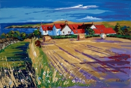 Afternoon Shadows_ St Abbs_Vill_11894.jpg