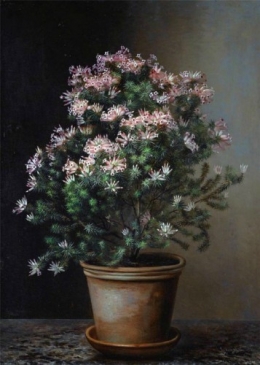 a9.jpg