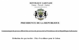 gabon,ali bongo,libreville,paris,france,bénin,sénégal,cameroun,congo,togo,mali,centrafique