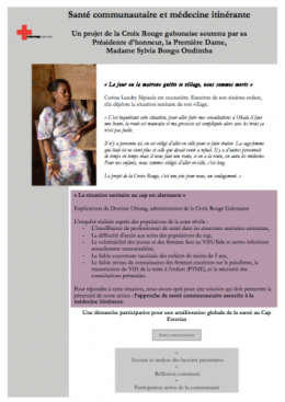 gabon,ali bongo,libreville,paris,france,bénin,sénégal,cameroun,congo,togo,mali,centrafique