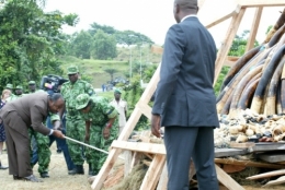 gabon,ali bongo,can 2012,sylvia bongo,michel ogandaga,libreville,paris,bénin,burkina faso,sénégal,cameroun