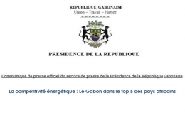 gabon,ali bongo,libreville,paris,france,bénin,sénégal,cameroun,congo,togo,mali,centrafique