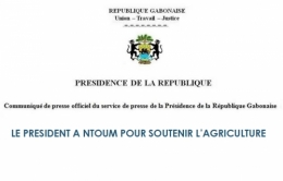 gabon,ali bongo,libreville,paris,france,bénin,sénégal,cameroun,congo,togo,mali,centrafique