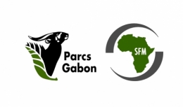 gabon,ali bongo,libreville,paris,france,bénin,sénégal,cameroun,congo,togo,mali,centrafique