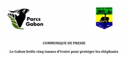 gabon,ali bongo,can 2012,sylvia bongo,michel ogandaga,libreville,paris,bénin,burkina faso,sénégal,cameroun