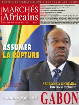 gabon,ali bongo,libreville,paris,france,bénin,sénégal,cameroun,congo,togo,mali,centrafique